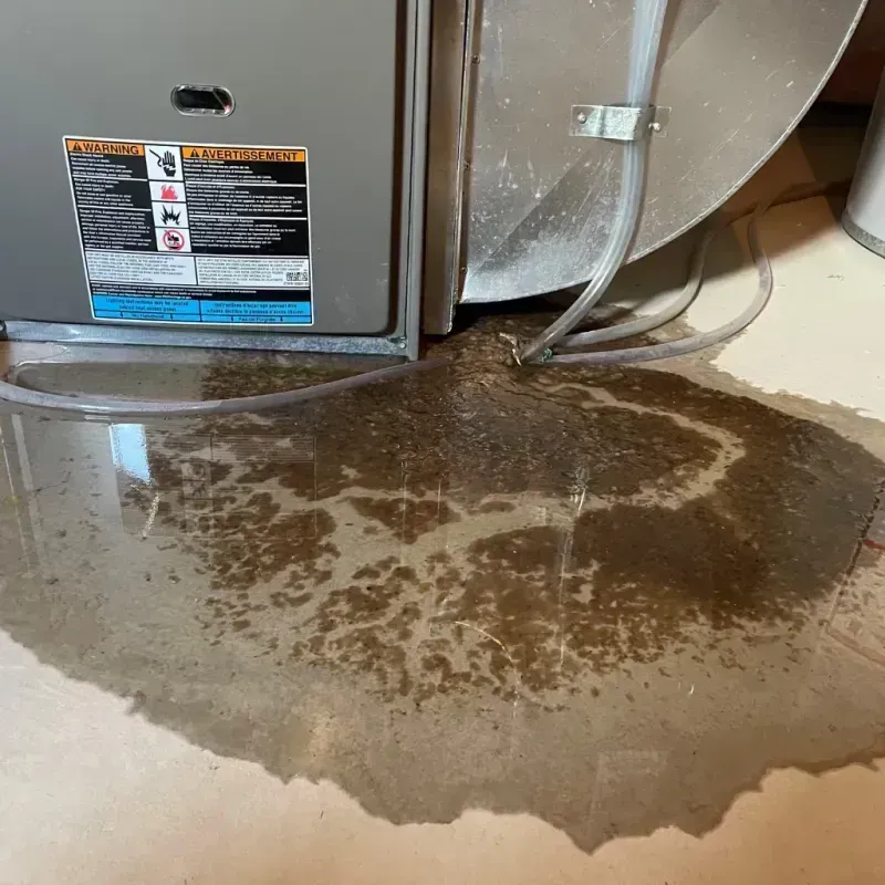 Appliance Leak Cleanup in Savage, MN